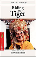 book_riding_the_tiger