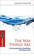 book_the_way_things_are