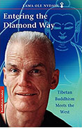 book_entering_the_diamond_way