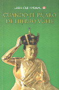 book_entering_the_diamond_way